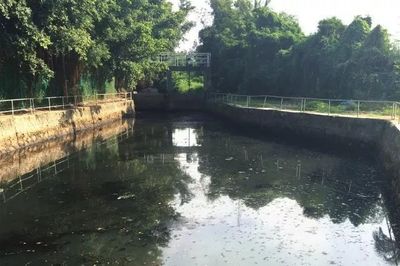 跨越国界的绿色对话 中国·东盟大气污染防治高层研讨班走进深港环保，共探水环境治理新路径