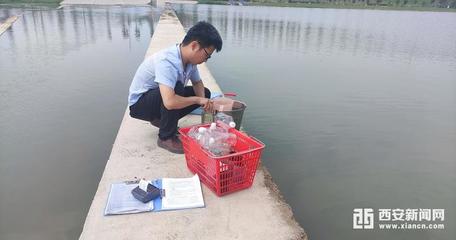 生态环境阎良分局 推进生态环境质量持续好转 助力十四运水环境污染防治服务